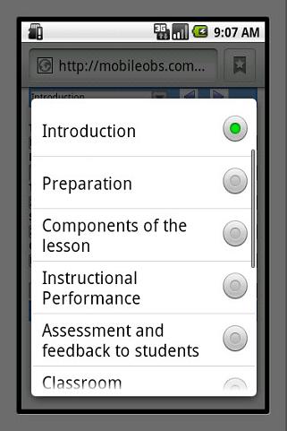 Observation \ Evaluation Tabs