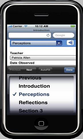 Observation \ Evaluation Tabs